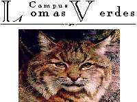 lomas verdes
